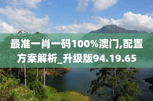 最准一肖一码100%澳门,配置方案解析_升级版94.19.65