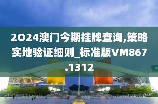 2O24澳门今期挂牌查询,策略实地验证细则_标准版VM867.1312