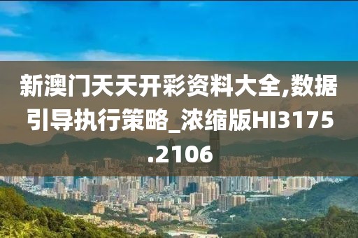 新澳门天天开彩资料大全,数据引导执行策略_浓缩版HI3175.2106