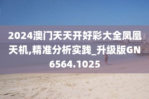 2024澳门天天开好彩大全凤凰天机,精准分析实践_升级版GN6564.1025