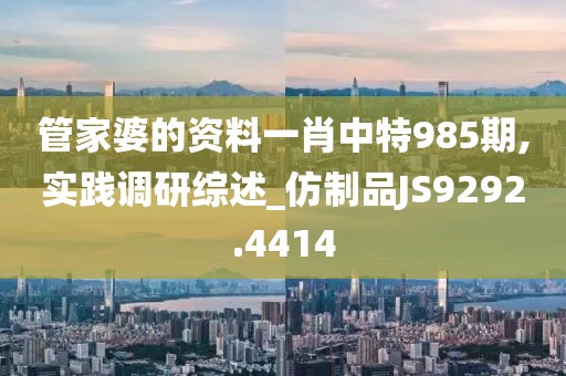 管家婆的资料一肖中特985期,实践调研综述_仿制品JS9292.4414