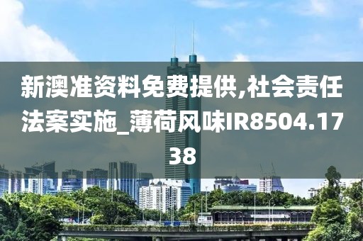 新澳准资料免费提供,社会责任法案实施_薄荷风味IR8504.1738