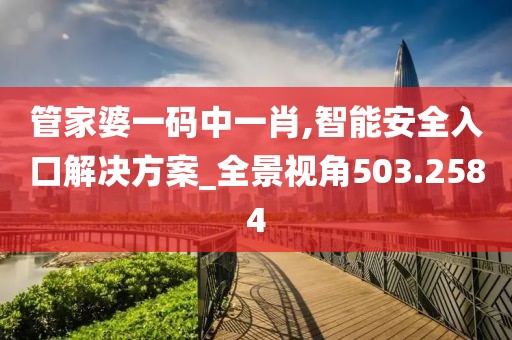 管家婆一码中一肖,智能安全入口解决方案_全景视角503.2584