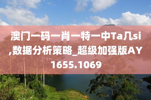 澳门一码一肖一特一中Ta几si,数据分析策略_超级加强版AY1655.1069