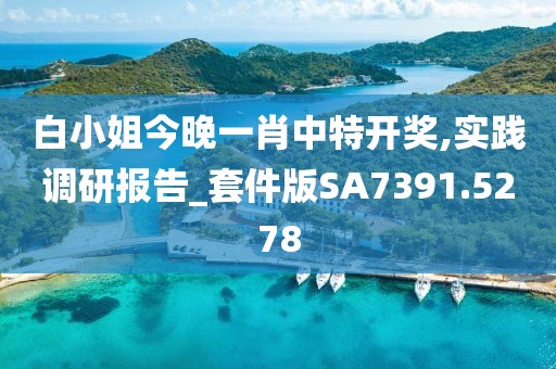 白小姐今晚一肖中特开奖,实践调研报告_套件版SA7391.5278