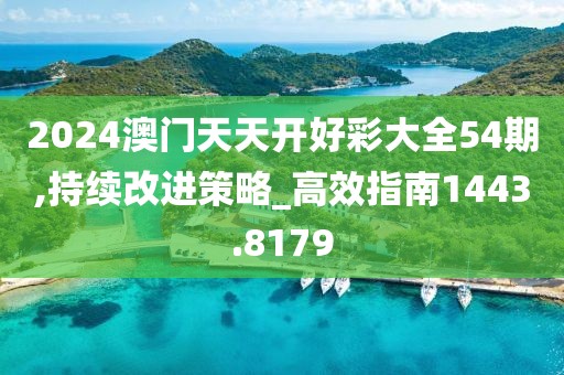 2024澳门天天开好彩大全54期,持续改进策略_高效指南1443.8179