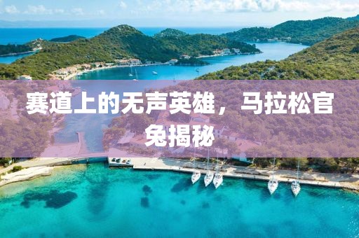 赛道上的无声英雄，马拉松官兔揭秘