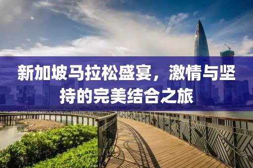 新加坡马拉松盛宴，激情与坚持的完美结合之旅