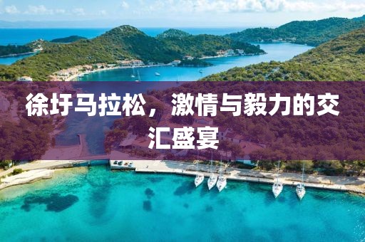 徐圩马拉松，激情与毅力的交汇盛宴
