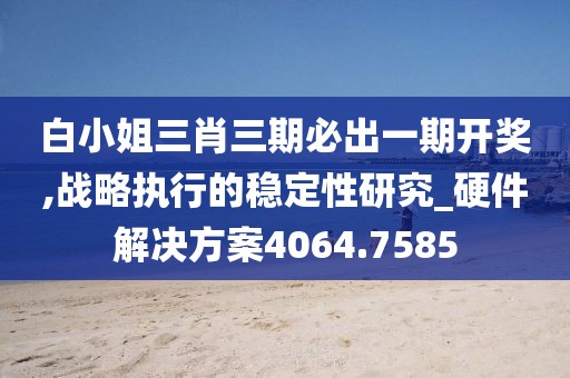 白小姐三肖三期必出一期开奖,战略执行的稳定性研究_硬件解决方案4064.7585