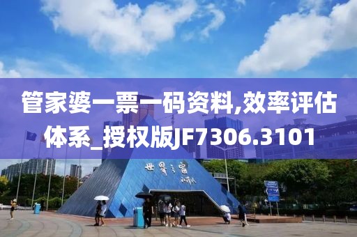 管家婆一票一码资料,效率评估体系_授权版JF7306.3101