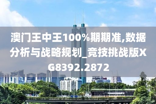 澳门王中王100%期期准,数据分析与战略规划_竞技挑战版XG8392.2872