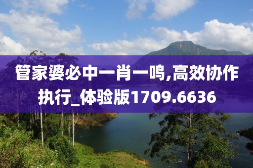 管家婆必中一肖一鸣,高效协作执行_体验版1709.6636