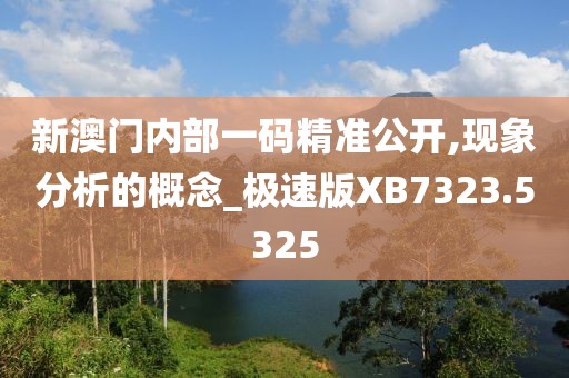 新澳门内部一码精准公开,现象分析的概念_极速版XB7323.5325