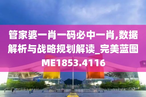管家婆一肖一码必中一肖,数据解析与战略规划解读_完美蓝图ME1853.4116