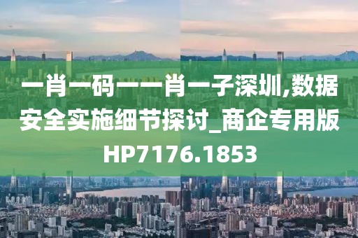 一肖一码一一肖一子深圳,数据安全实施细节探讨_商企专用版HP7176.1853