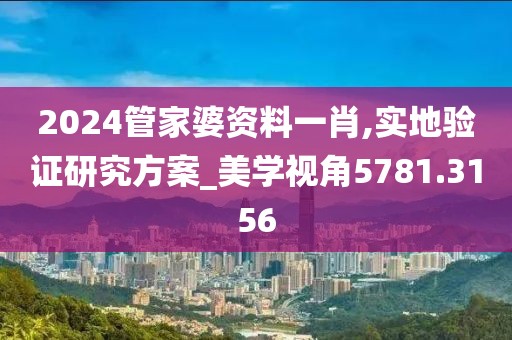 2024管家婆资料一肖,实地验证研究方案_美学视角5781.3156