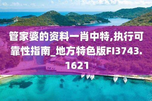管家婆的资料一肖中特,执行可靠性指南_地方特色版FI3743.1621