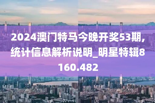 2024澳门特马今晚开奖53期,统计信息解析说明_明星特辑8160.482