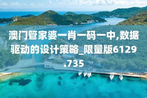 澳门管家婆一肖一码一中,数据驱动的设计策略_限量版6129.735
