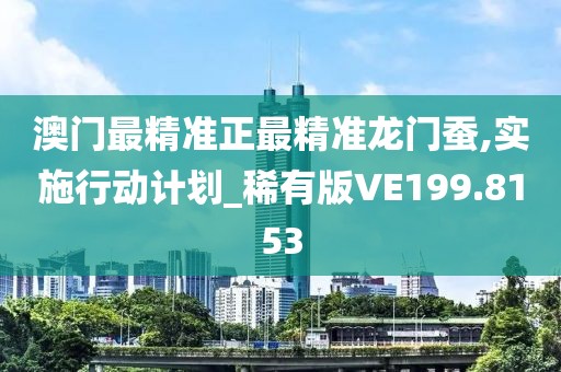 澳门最精准正最精准龙门蚕,实施行动计划_稀有版VE199.8153
