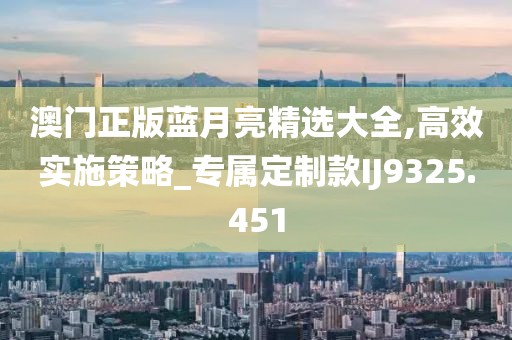 澳门正版蓝月亮精选大全,高效实施策略_专属定制款IJ9325.451