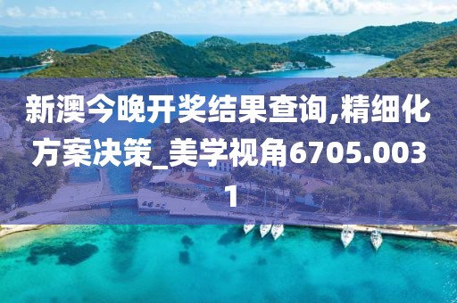 新澳今晚开奖结果查询,精细化方案决策_美学视角6705.0031