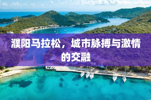 濮阳马拉松，城市脉搏与激情的交融