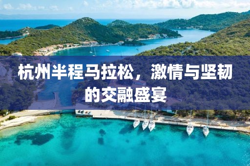 杭州半程马拉松，激情与坚韧的交融盛宴