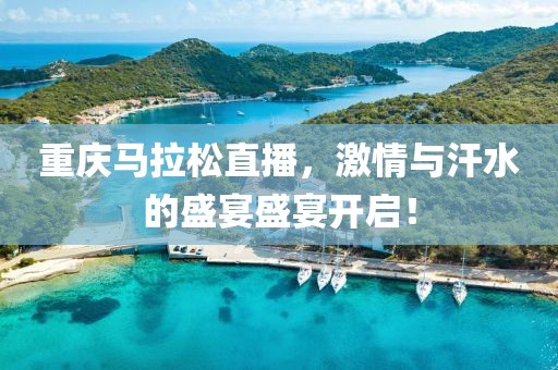 重庆马拉松直播，激情与汗水的盛宴盛宴开启！