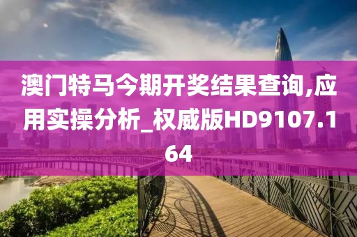 澳门特马今期开奖结果查询,应用实操分析_权威版HD9107.164