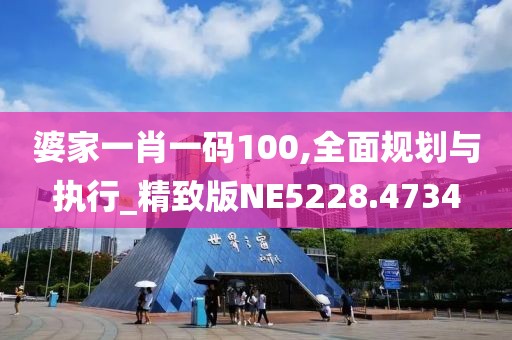 婆家一肖一码100,全面规划与执行_精致版NE5228.4734