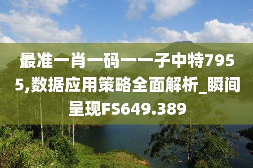 最准一肖一码一一子中特7955,数据应用策略全面解析_瞬间呈现FS649.389