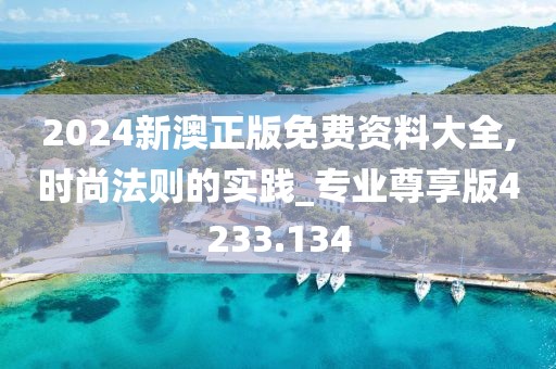 2024新澳正版免费资料大全,时尚法则的实践_专业尊享版4233.134