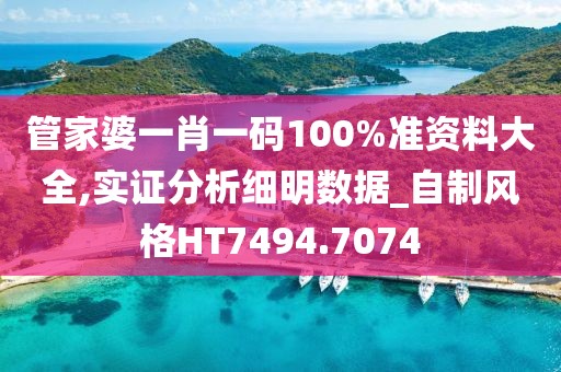 管家婆一肖一码100%准资料大全,实证分析细明数据_自制风格HT7494.7074