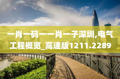 一肖一码一一肖一子深圳,电气工程概览_高速版1211.2289