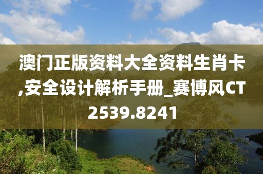 澳门正版资料大全资料生肖卡,安全设计解析手册_赛博风CT2539.8241