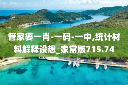 管家婆一肖-一码-一中,统计材料解释设想_家常版715.74