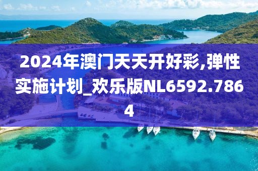 2024年澳门天天开好彩,弹性实施计划_欢乐版NL6592.7864