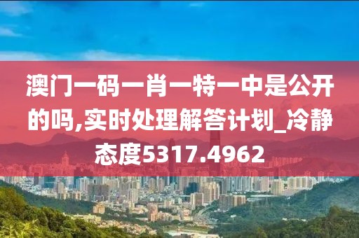 澳门一码一肖一特一中是公开的吗,实时处理解答计划_冷静态度5317.4962