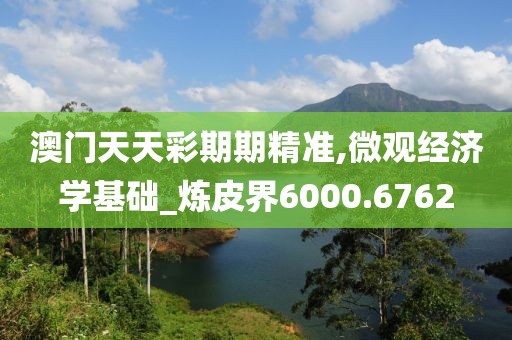 澳门天天彩期期精准,微观经济学基础_炼皮界6000.6762