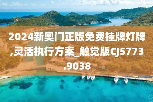 2024新奥门正版免费挂牌灯牌,灵活执行方案_触觉版CJ5773.9038