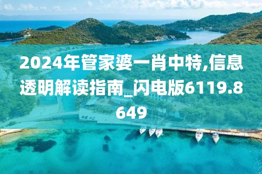 2024年管家婆一肖中特,信息透明解读指南_闪电版6119.8649