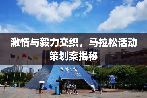 激情与毅力交织，马拉松活动策划案揭秘
