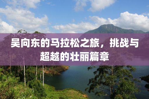 吴向东的马拉松之旅，挑战与超越的壮丽篇章