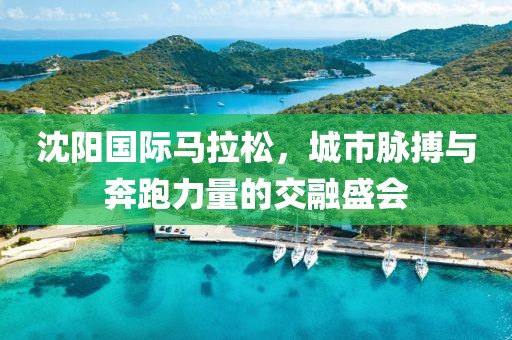 沈阳国际马拉松，城市脉搏与奔跑力量的交融盛会