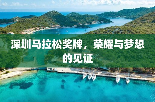 深圳马拉松奖牌，荣耀与梦想的见证