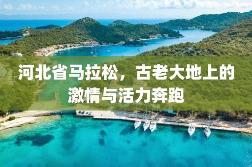 河北省马拉松，古老大地上的激情与活力奔跑