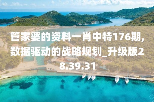 管家婆的资料一肖中特176期,数据驱动的战略规划_升级版28.39.31