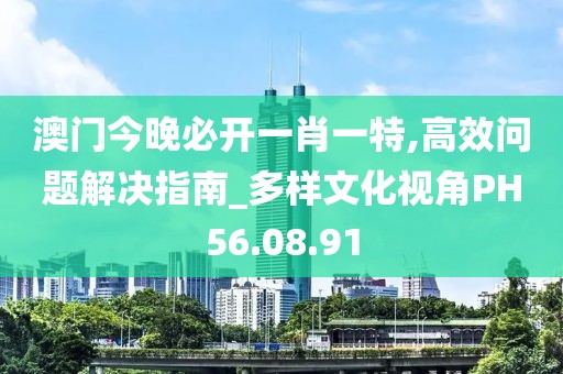 澳门今晚必开一肖一特,高效问题解决指南_多样文化视角PH56.08.91